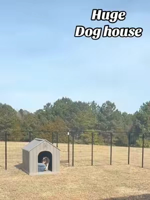 This is a great big dog house! And it’s perfect to keep them dry! @Esmlada #doghouse #dogmom #happydog #tiktokshopcreatorpicks #tiktokshopjumpstartsale 