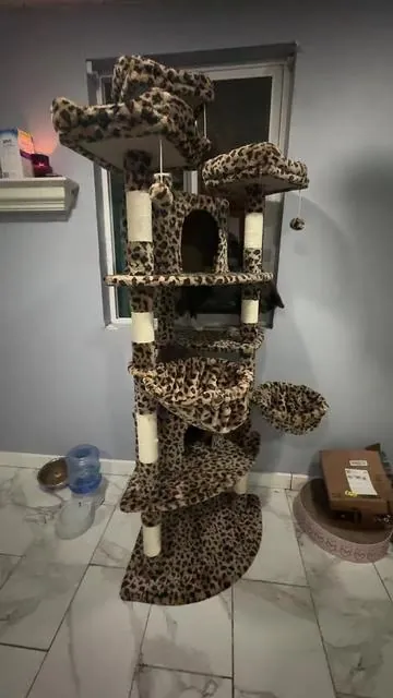 Of course I had to get the cheetah cat tree, go get yours while it’s still on sale🫶🏼 #foryou #explore #catlover #cattree #tiktokshop 