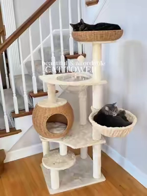 I cant believe how inexpensive this cat tower is. The quality is crazy good and it's so beautiful! #catsoftiktok  #cattree  #catfurniture #catlover #cats 