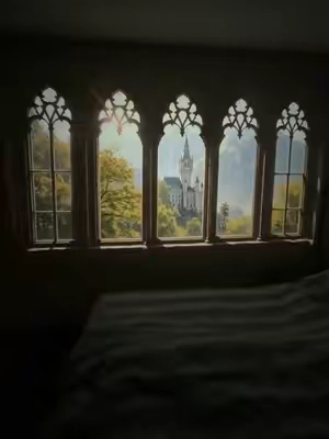 I wanted to test those fake window videos I’m seeing all of TikTok with this projector. #projector #fakewindow #portableprojector #darkfantasy #fantasy 