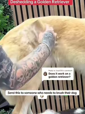 10/10 🏆 I don’t hype up tools unless they actually WORK #PetsOfTikTok #dogsoftiktok #doglover #dogs #petcare 