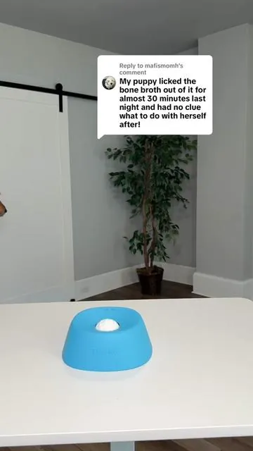Replying to @mafismomh dog parents, this slow lick ball is worth checking out! #dogenrichment #dogtoy #doganxiety #dogparents #tiktokshopcreatorpicks 