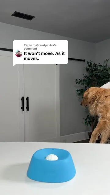 Replying to @Grandpa Jax dog parents, this slow lick ball is totall worth checking out! #dogenrichment #dogtoy #doganxiety #dogparents #tiktokshopcreatorpicks 