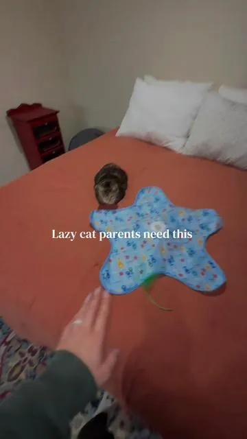 I promise she LOVES this toy #cattoys #catsoftiktok #interactivecattoy #cattower 