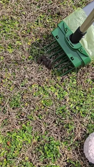This makes cleaning up after the dogs so much easier! #pooperscooper #liftnbagscooper #dogmusthaves #tiktokshopcreatorpicks #tiktokshopstockup 