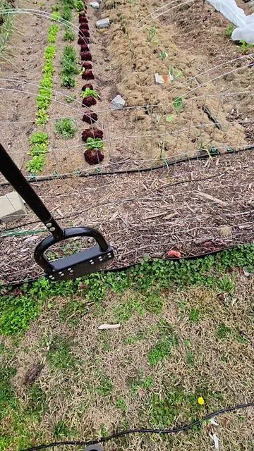The war against grass starts now!