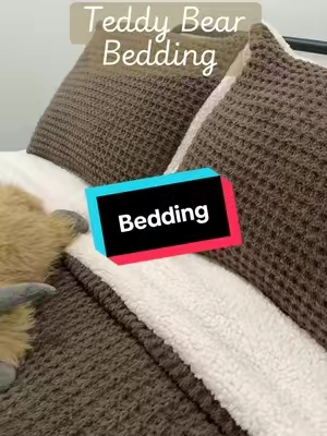 Like how freaking pretty is this? I am obsessed with this color and the bedding. #teddybearbedding #sherpabedding #bedding #kidsroominspo #tiktokmademebuyit 