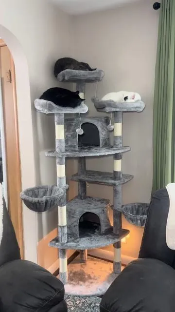 My cats love this 73 inch tall corner cat tree! I love it, too, for it’s space saving design 🐈🐈‍⬛🐈🐈‍⬛ @HOOMIC #cattree #catfurniture #catproducts #tiktokshopfinds 