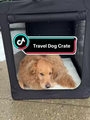 this portable travel dog crate is amazing for dog parents. #dogcrate #travelwithdog #campingwithdogs #dogparents #tiktokshopcreatorpicks