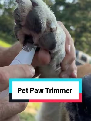 This Per Paw Trimmer is Gentle and Quiet! 🐶  Rechargeable Pet Hair Trimmer Kit #pettrimmer, #doggrooming, #doglovers, #tiktokshopcreatorpicks, #tiktokshopstockup 