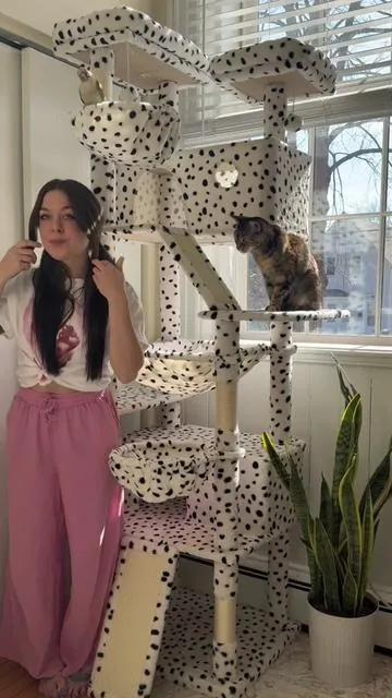 😻💕✨🐈🦜 @MUTICOR #muticor #muticorcattree #cattree #cattok #greencheekconure 