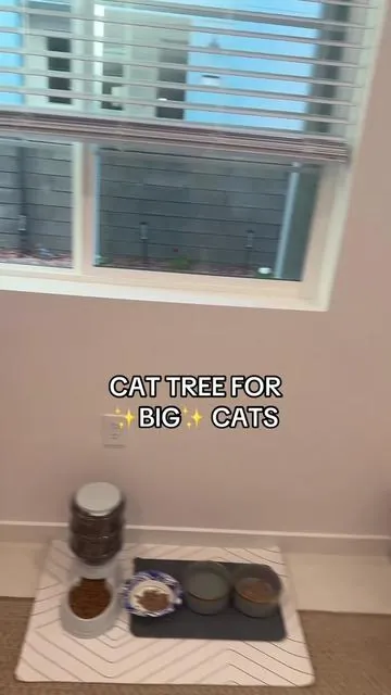CAT TOWER🐈 #cattree #catsoftiktok #catloversclub  #cattower #catlover 