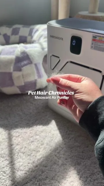 Keeping the air as clean as the floors. ✨ #meowant #petairpurifier #airpurifier #catowner #tiktokmademebuyit @meowant.us 