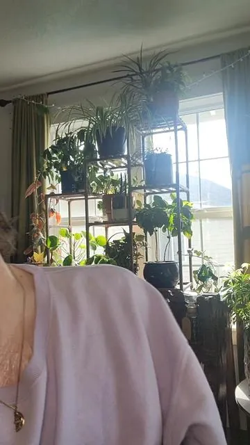@tarte cosmetics #mascara #tiktokshopcreatorpicks #ad
