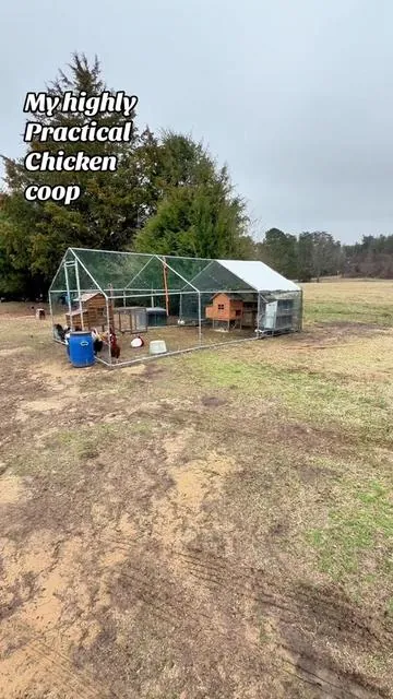 It’s so practical and has really worked well for my chickens @VEVOR Store #vevor #chickencoop #backyardchickens #tiktokshopcreatorspicks #tiktokshopstockup 