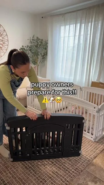 #puppyplaypen #tiktokshopcreatorpicks #petowner #petessentials #pets 