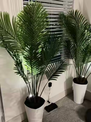 Big tree energy all 2026!!!
