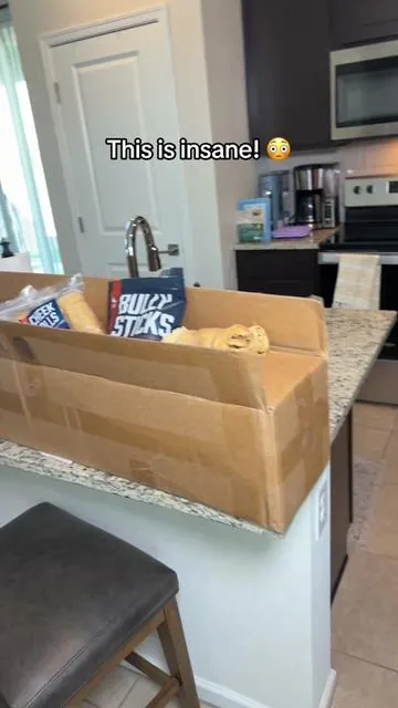 We can’t say thank you enough to @Wild Wolf Bully Sticks 🖤 our dogs LOVE their chews and we love and trust the quality 👏🏻 #dogchew #dogbones #bullystick #dogsoftiktok #tiktokshopcreatorpicks 