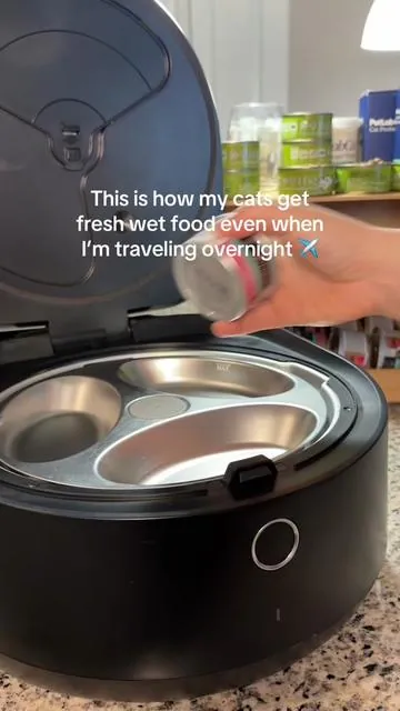 If you’ve ever wondered how to feed your cat wet food when you’re not home, this is the safest setup I’ve found. This refrigerated feeder keeps wet food cold and serves meals automatically on schedule, so your cat stays on routine even if you’re away overnight or traveling. I control everything from my phone, which makes it perfect if: • you work long hours • you travel • your cat sitter cancels • you don’t want wet food sitting out #tiktokshopcreatorpicks #TikTokShopSpringGlowUp #wetfoodforcats #catfeeder #catparentstruggles  