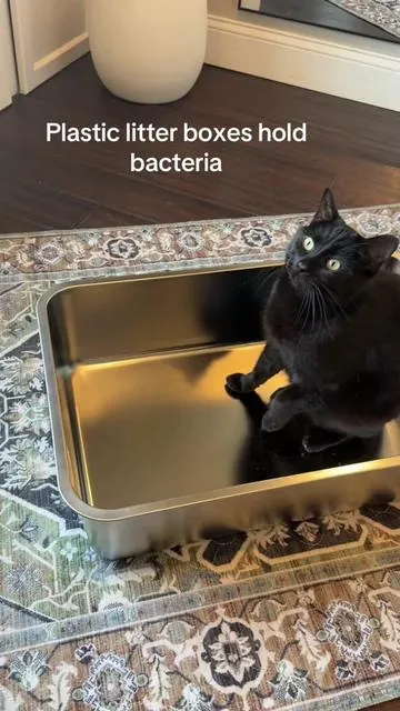 Plastic litter boxes hold odor and bacteria over time. Stainless steel doesn’t absorb anything, so it’s way easier to keep clean. #litterbox #catproducts #petodor #tiktokshopcreatorpicks #catmom 