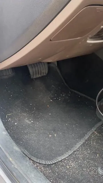 No computer or app needed—just plug it in and it'll tell you what's wrong with your car. #tiktokshopitalia #obd2 #scanner  #checkengine #checkenginelight