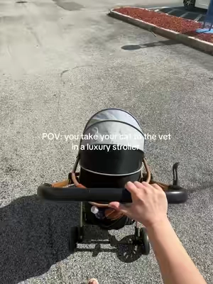 I took my cat to the vet in this stroller and everyone kept asking where I got it. Vet visits can be stressful for cats, but this pet stroller made the whole trip so much easier. The breathable mesh design lets your pet see outside while still feeling secure, which helps them stay calm during travel. What I really like is that the carrier detaches, so it quickly goes from stroller to car without disturbing your pet. It also folds easily, making it convenient to store or bring along for trips. There’s a storage basket underneath for essentials, plus a cup holder so you can keep your hands free while walking. If you have a cat (or small dog) that needs help getting to vet visits, travel, or outdoor strolls comfortably, this foldable pet stroller is a really practical setup. Add to cart to check the latest deals and discounts. #catmomlife #catproducts #petstroller #tiktokshopcreatorpicks #TikTokShopSpringGlowUp 