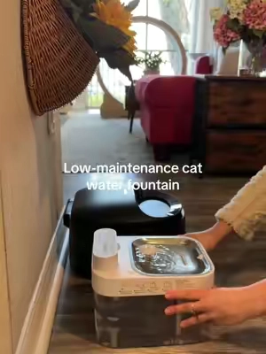 If you’re looking for a low-maintenance cat water fountain, this one is a game changer. The Hapaw Water Fountain separates clean water from dirty water, so your cat isn’t drinking contaminated water if you forget a cleaning. It’s rechargeable, cordless, has a motion sensor or continuous mode, and a stainless steel bowl—perfect for cats who need better hydration with less effort. #tiktokshopcreatorpicks #TikTokShopSpringGlowUp #catwaterfountain #catlovers 