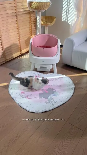 If you own AutoScooper, you'll  need a three-proof mat too!#AutoScooper #catmat #catsoftiktok #FurBabyLife