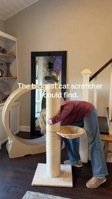 The biggest one I could find. My cats use this everyday. 47” sisal rope scratcher. #catscratcher #catpost #catsoftiktok #mainecoon #tiktokshopcreatorpicks 