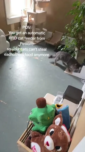 These cat feeders from @Petlibro are 10000% worth it! #petlibro  #automaticcatfeeder  #catfeeder  #cats  #catlovers 
