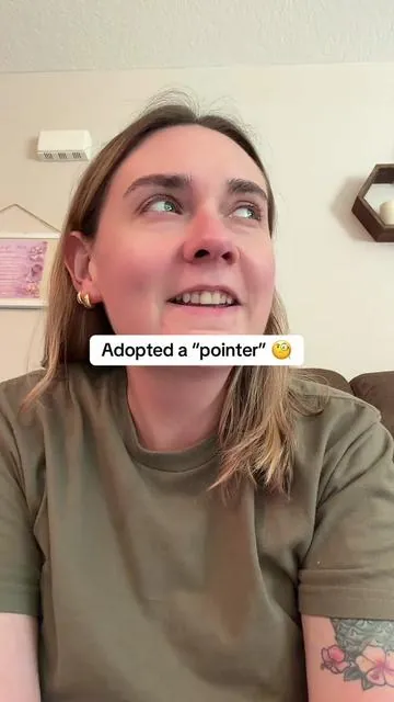 “Pointer” for adoption lol #basepaws #dogdnatest #dogdna #basepawsdnatest 