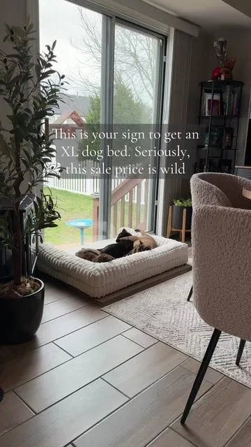 #catbed #dogbed #petbed #cuddlepuddle #cutecats 