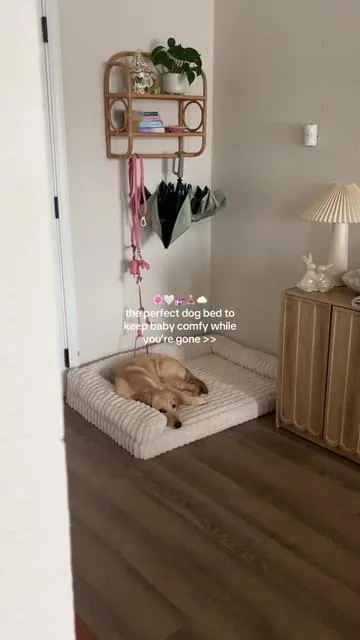 Lesure Dog bed🌸🤍💒🧘🏼‍♀️☁️#fyp #dogbed #lesuredogbed #petbed #dogbeds 