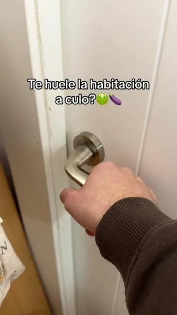 Que tu habitación huela bien con este difusor de aromas 😍#aromas #difusordearomas #humidificador #humidificadordefuego #cuartolimpio con este humidificador de aromas haras que tu cuarto huela bien, yo es lo que uso para mi habitación con aromas y este difusor hago que mi habitación huela bien