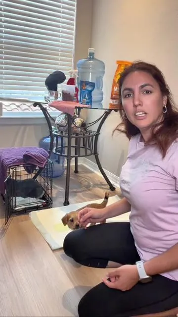 Soy mamá primeriza de perrita 🐶 y aprendí rápido que una jaula pequeña no es lo mismo que un espacio para jugar. Este playpen fue la solución para que tenga su propio corral seguro dentro de la casa. Si tienes perritos pequeños, esto está buenísimo. Lo encuentras en el carrito naranja.   #dogplaypen #puppylife #dogmomlife #petproduct #TikTokShopCreatorPicks 