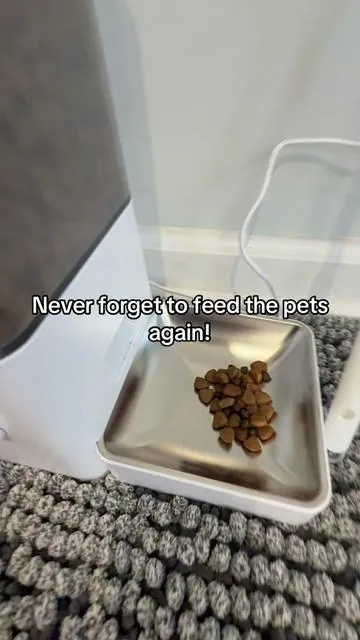 Automatic pet feeder controls how much your pet eats and when! Great for over eatting pets, or when mom and dad are gone all day! #automaticpetfeeder #georood #dogfeeding #petfeeder #tiktokshopcreatorpicks 