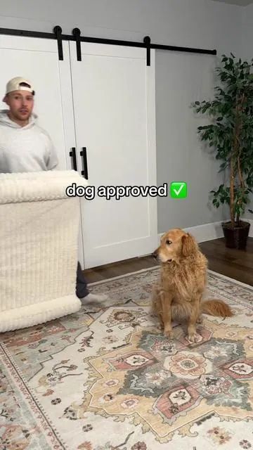 dog parents, this is NOT a drill! #dogbed #dogcouch #dogowners #dogaccessories #tiktokshopcreatorpicks 
