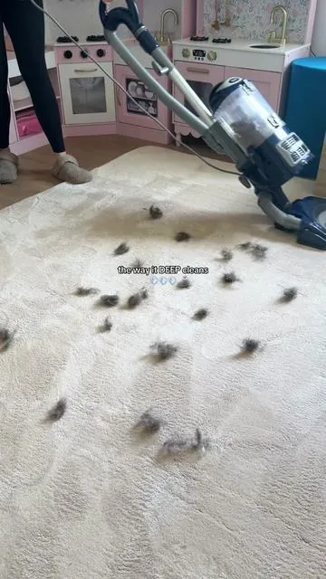 switched to the heavy duty vacuum and my carpets and rugs are actually CLEANN 🫧 #sharkvacuum #vacuumcleaner #sharknavigator #cleanhome #cleaninghacks 