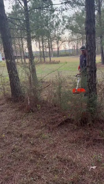 One tool that handles just about everything around the yard. This 6-in-1 setup makes trimming, cutting, and cleanup a whole lot easier.#yardtools #polesaw #vevortools #stringtrimmer 