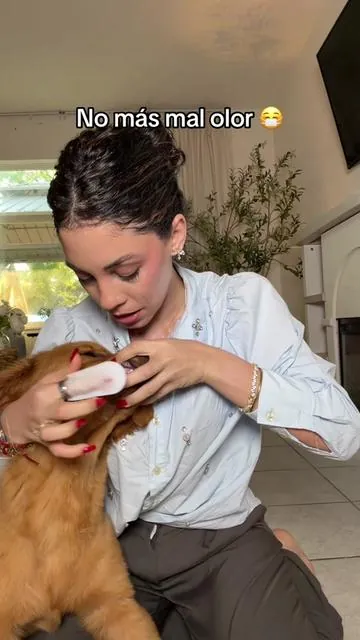 Que bueno está esto ! Esta marca la conocí hace poco en la consulta de Milo y wow el hasta tranquilo se queda para lavárselo jajaj #dogmom #dogteethcleaning #dogteeth #paratii 