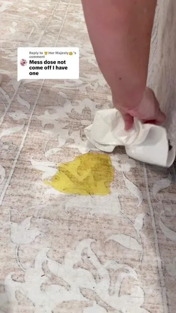 Replying to @🫅Her Majesty👸 IDK what rug yall have but mine is AMAZING! 🤩 #washablerug #stainresistant #affordablerugs #arearug #arearugcleaning 