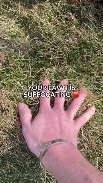Stop fertilizing dead grass. 🛑🌱If your lawn looks yellow, it’s likely suffocating under a layer of thatch. The VEVOR 2-in-1 Dethatcher + Scarifier is the only way to clear the waste and prep for a lush lawn.  #lawncare #diyhome #vevor #Greenish #tiktokshopcreatorpicks @VEVOR Garden 