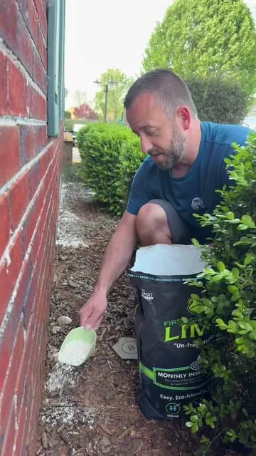 First Saturday Lime Insect Repellent #repellent #pest #pestcontrol #pestrepellent #tiktokshopcreatorpicks 