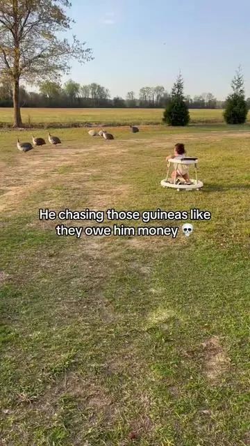 The guineas ain’t sign up for this 😂 #babyboy #spring #funnybaby #momlife #countrylife