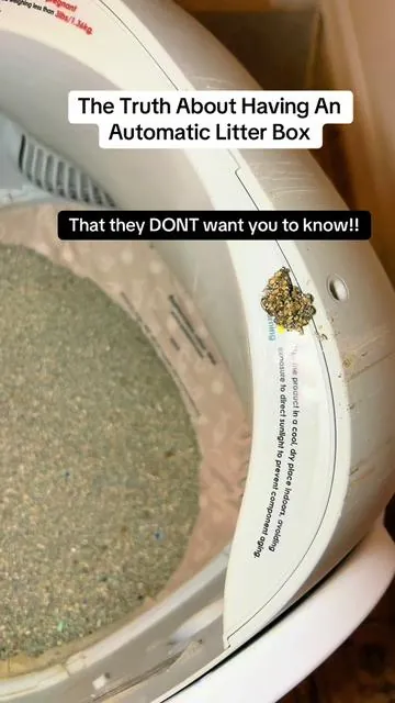 The dirty truth 🤢idk why they feel the need to lie about these things 🤥🤬 So here’s the truth from someone that actually owns cats! #honestreview #review #automaticlitterbox #cat #catlady 
