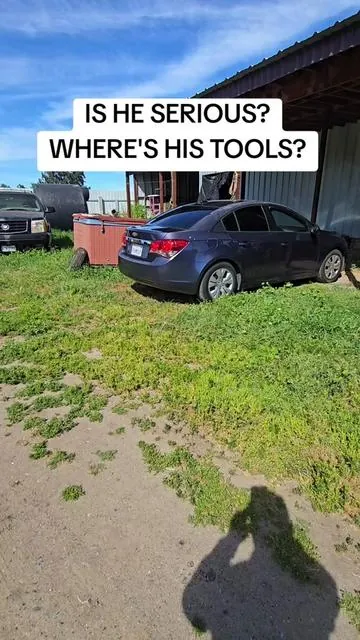 YARD CLEANUP WITH THE VEVOR 