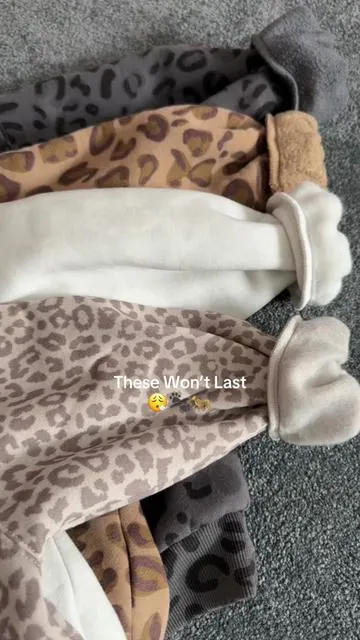 WOW🐾