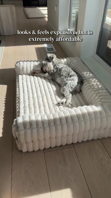 Affordable high end dog bed! #dogbed #memoryfoamdogbed #dogsoftiktok #petproducts #tiktokshopcreatorpicks 