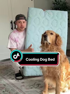 the best dog bed in the market for the warmer months!! ❤️ #coolingdogbed #dogbed #dogaccessories #tiktokshopspringglowup #tiktokshopcreatorpicks 