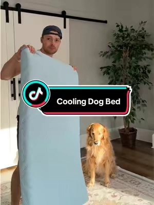 this dog cooling bed is actually COLD 🥶 #dogbed #coolingdogbed #dogcoolingmat #tiktokshopspringglowup #tiktokshopcreatorpicks 